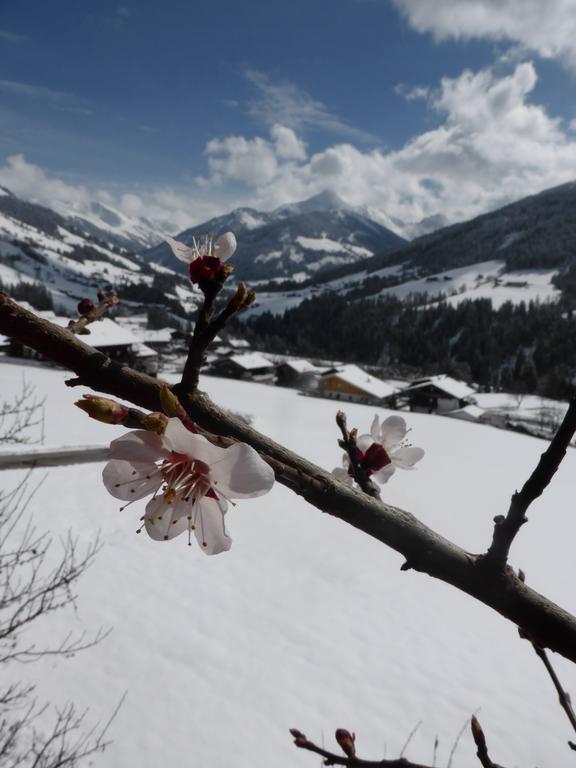 Heachhof Lejlighed Alpbach Eksteriør billede
